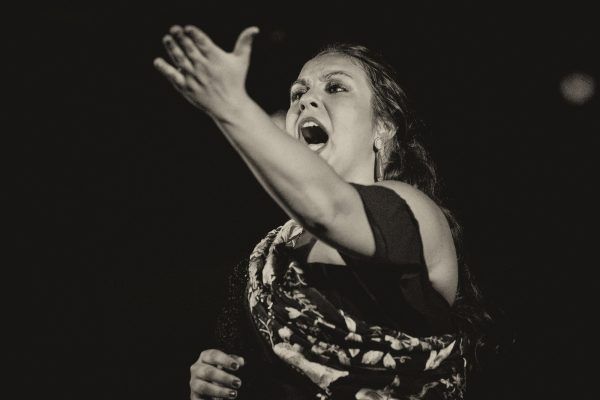Festival flamenco