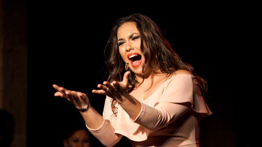 Flamenco en Sevilla | Diseño web