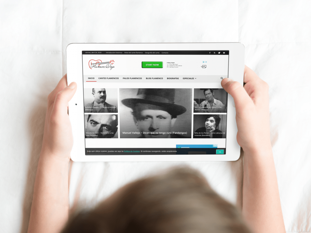 Flamenco Viejo | Diseño web