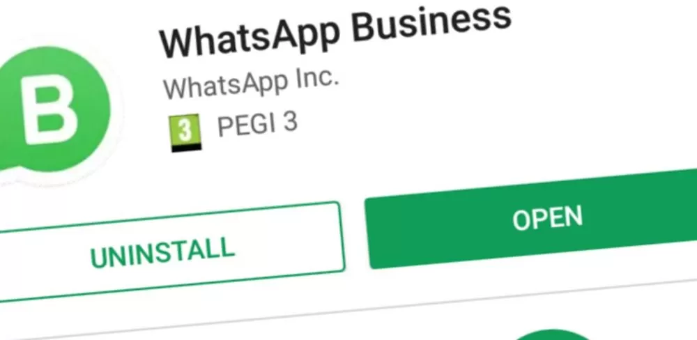 WhatsApp Business: Cómo instalarlo y qué hacer con él